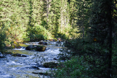 Similar image 22095736