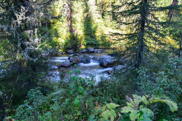 Similar image 22095737