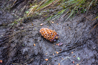 Similar image 22095738