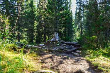 Similar image 22095740