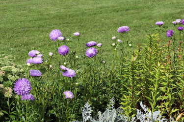 Similar image 22093852