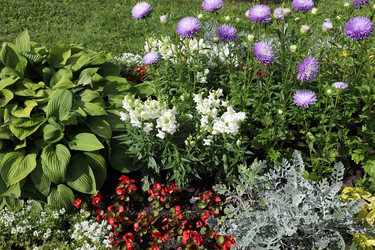 Similar image 22093855