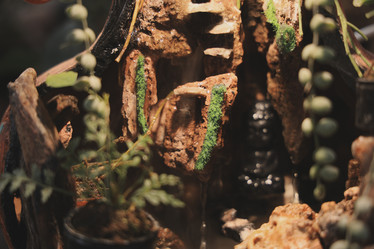 Similar image 22100132