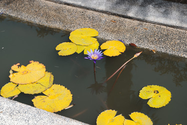 Similar image 22099743