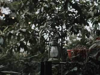 Similar image 22099744