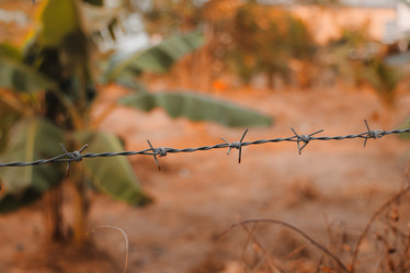 Similar image 22099754