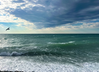 Similar image 22126022