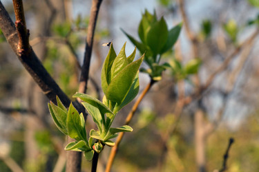 Similar image 22097611