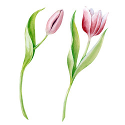 Similar image 22099394