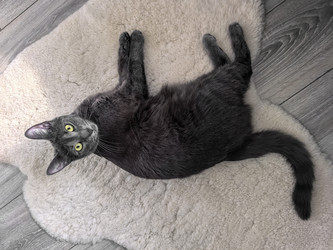 Similar image 22098262