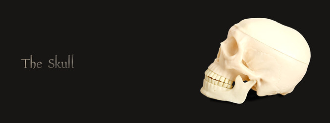 Similar image 22095836