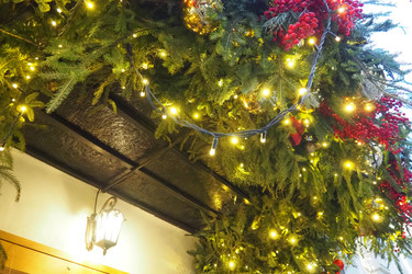 Similar image 22132448