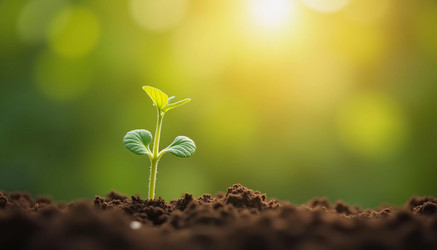 Similar image 22132455