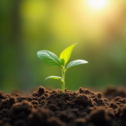 Similar image 22132456