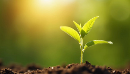 Similar image 22132457