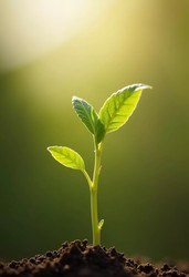 Similar image 22132458