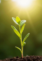 Similar image 22132460