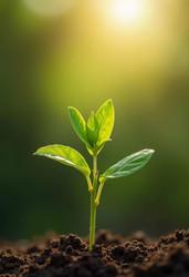 Similar image 22132462