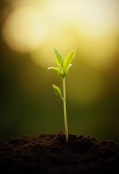 Similar image 22132464