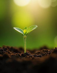 Similar image 22132571