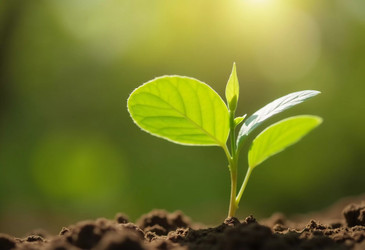 Similar image 22132574