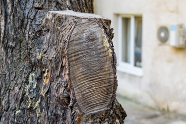 Similar image 22108976