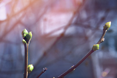 Similar image 22095616