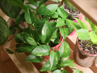 Similar image 22100141