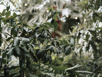 Similar image 22100157