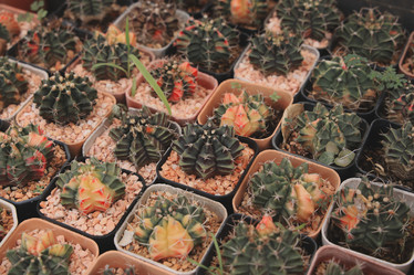 Similar image 22100158