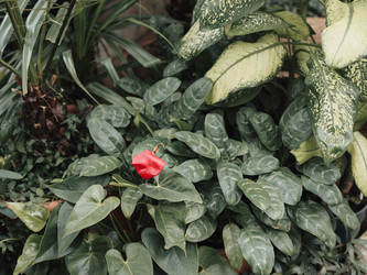 Similar image 22100162