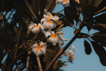 Similar image 22100166