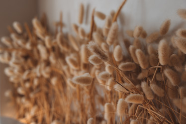 Similar image 22099775