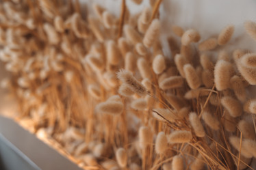 Similar image 22099781