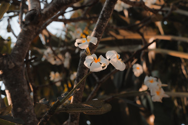 Similar image 22099782