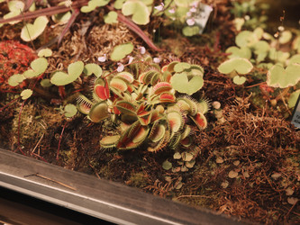 Similar image 22099783