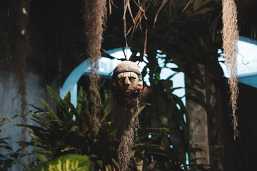 Similar image 22099784