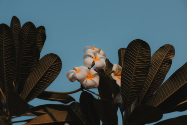 Similar image 22099787