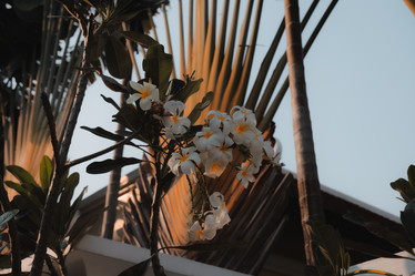 Similar image 22099796