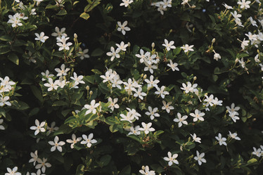 Similar image 22099798