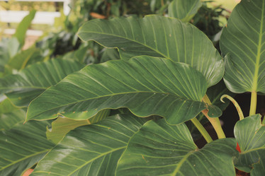 Similar image 22099990