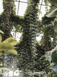 Similar image 22099991