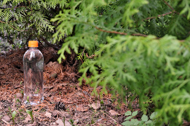 Similar image 22095888