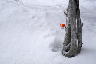 Similar image 22095890