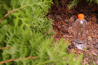 Similar image 22095891