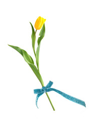 Similar image 22095926