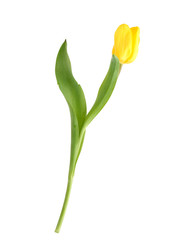 Similar image 22095927