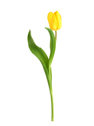 Similar image 22095929