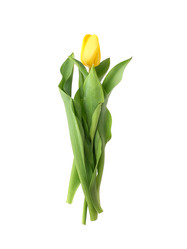 Similar image 22095931