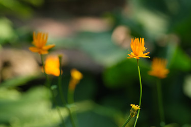 Similar image 22095932